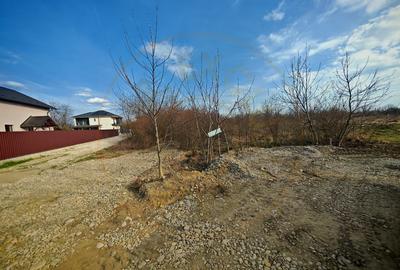 Teren intravilan 2273 mp in Pitesti, str. Mateias, iesire spre Campulung Muscel - 2