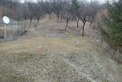 Comarnic vila  2010 P+1+pod,mobilata,utilata, teren 1811mp imprejmuit - 8