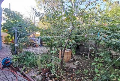 Casa Strada Muntii Carpati, 3 camere, curte proprie - 13