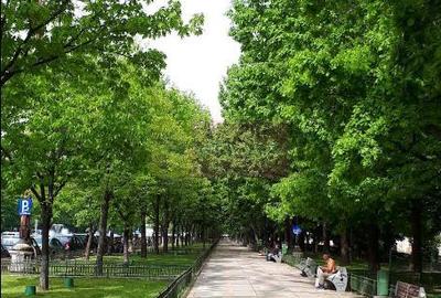 Vanzare apartament de 3 camere bd Unirii, bloc nou 2025 - 1