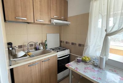Garsonieră modernă, complet renovată – Bulevardul Timișoara - 2