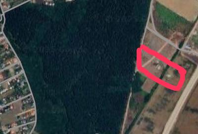 |Teren Corbeanca|Langa Padure| - 2