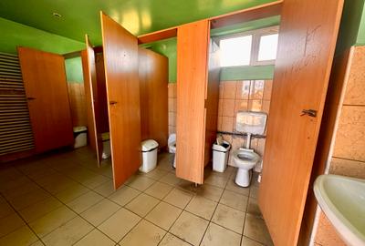 Hala de vânzare, Sacele, Brasov- COMISION 0% CUMPARATOR - 24