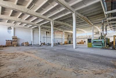 Spațiu industrial 4.4Ha Teren și 15.000mpc - Zona Industrială - Hârlău - 10