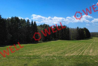 De vânzare teren extravilan în Reci! - 3