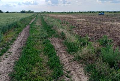 Teren intravilan de vanzare | Peris | 10.000 mp | Investitie sigura - 7