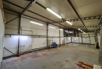 Inchiriez spatiu comercial + hala productie/depozit - 10