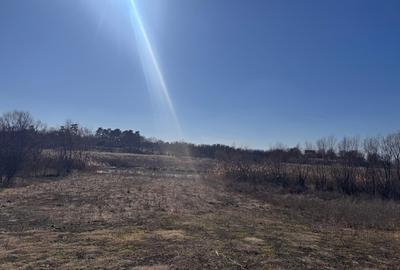 Periș, sat Brătulești, teren intravilan cu deschidere la lac - 3