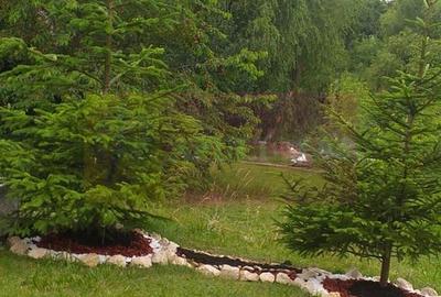 Cea mai frumoasă casă din zona Pipera - Băneasa - 51