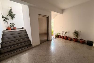 3 Camere Decomandat | 100 mp | 2 Parcări | Dobroești - 10