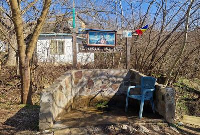 Teren extravilan, 23 400 mp, Cuvin (Ghioroc) - 3