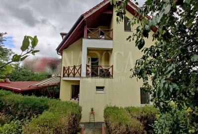 Casa 10 camere de vanzare in Grigorescu, Cluj Napoca - 3