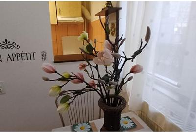 Antecontract! Garsoniera spatioasa Spitalul Judetean - 7