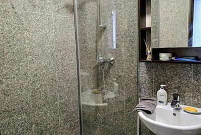 Sala Palatului, 2 camere, renovat, mobilat si utilat - 6