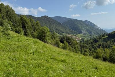 Teren superb intravilan  Pestera- Brasov, 11.908 mp - 8