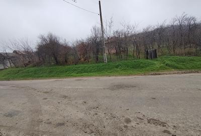 Teren intravilan, 2000 mp, zona Brestei - 1