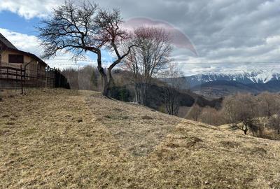 Teren Premium în Fundata: 3,784mp de Priveliște Panoramică - 3