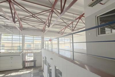 Hală industrială modernizată - Platforma Industrială Carfil - 8