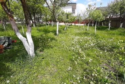 Casa moderna, foarte spatioasa, cu  1500 mp teren, în  Dambul Rotund - 28