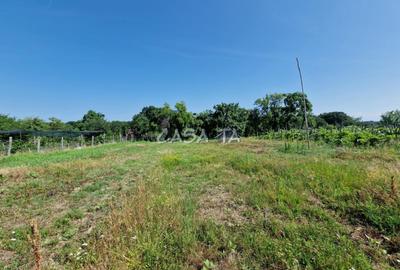 Casa 3 Camere + Teren si Anexe, Tirculesti- Danesti - 11