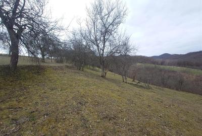 Teren intravilan si extravilan Luncoiu de Jos - 11
