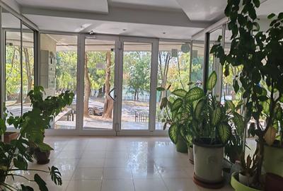 Apartament 4 camere Parc Herastrau - 15