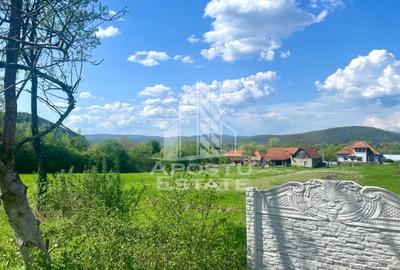 Teren intravilan, partial imprejmuit, eligibil grant- Pojoga, com. Zam - 9