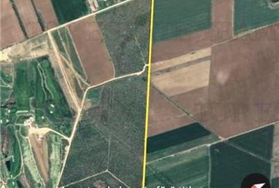 Teren Construcții intravilan de 500 mp, în Periș