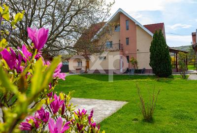 Casă/vilă de vânzare cu teren generos 3659 mp și 3 construcții, Sărată, Bacău - 4