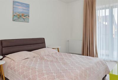 Vila eleganta   Iancu Nicolae   proximitate padure - 24