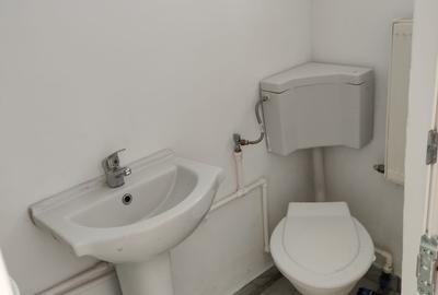 Stefan cel Mare, Parcul Circului,spatiu multifunctional, 2 spatii, - 15