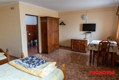 Pensiune + 4,7 Ha teren E85 Roman - Neamț - Afacere la cheie - 8