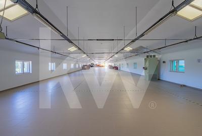 Hală industrială depozitare productie 826mp Sebeș - 4