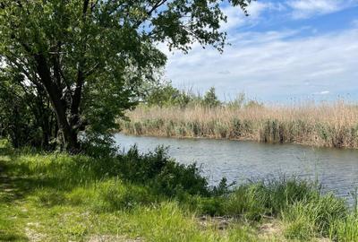 Lacul Snagov | Teren 1000 MP - d 24 m la lac | Pozitie excelenta | Gruiu - 1