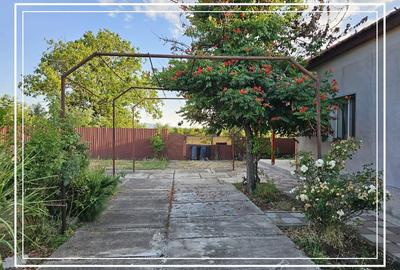 Opurtunitate si liniște Casa de vânzare la cheie Mocrea Jud. Arad - 26