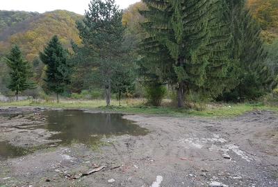 Teren intravilan ideal si de investitie, in Loc. Resita, strada Ciresului - 9