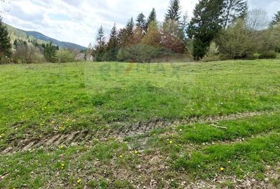 Poienita 2800mp, Covasna, zona hotel Clermont, inconjurat de padure - 4