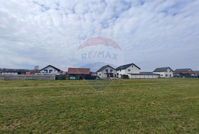 Teren de vânzare – 1600 mp – Șura Mică - 2