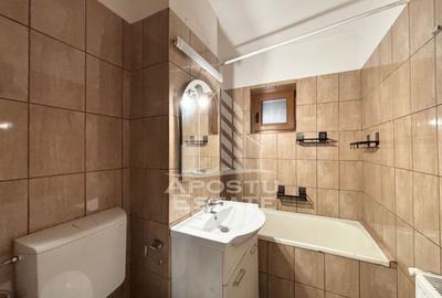 Apartament cu 2 camere, zona Lipovei, Timisoara, semidecomandat - 10