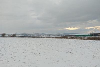 Teren intravilan, 6200 mp, Jucu de Mijloc - 3