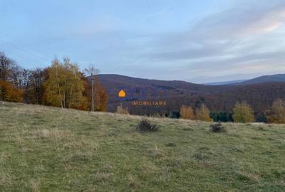 Teren intravilan Brebu Nou - Trei Ape - 2