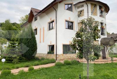 Domeniu de vanzare, Baile Govora(Pausesti-Otasau) cu teren de 20875mp - 3