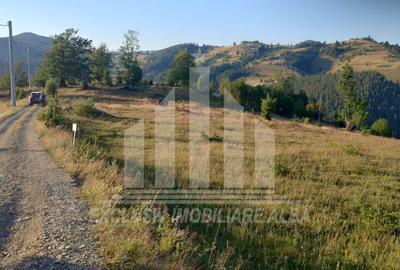 Teren intravilan | 3565 mp | Ideal constructie cabane | Garda de Sus - 4