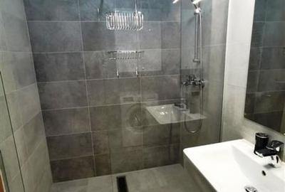 Inchiriem Apartament 2 Camere, Mobilat, Studio, Tractorul - 6
