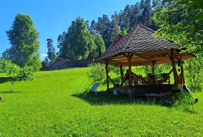 Teren intravilan in Sacele (Brasov), 2000 mp cu livada, foișor, apa, curent - 3