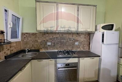 Apartament spațios în clădire istorică – 70 mp, Palatul Istvan Nemes - 8