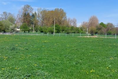 Teren Campina varful Muscel - 8