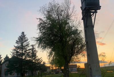 De Vânzare – Fermă de Pomi Fructiferi, 48,8 ha, Iancu Jianu, Jud. Olt - 15