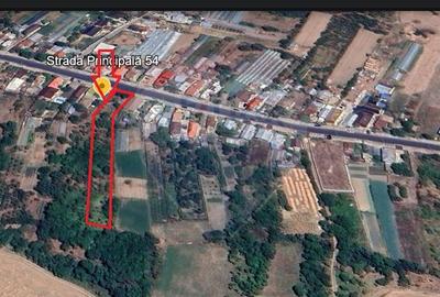 Teren intravilan de 4870 mp, în Sintești