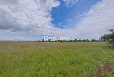Teren extravilan, 114000 mp, Parc industrial West Park - 10